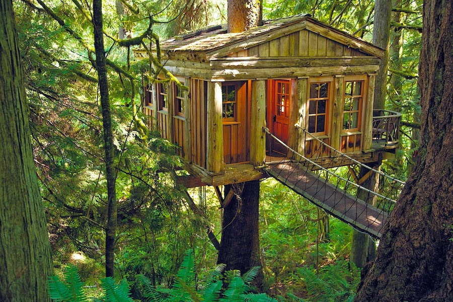 Treetop Hotels