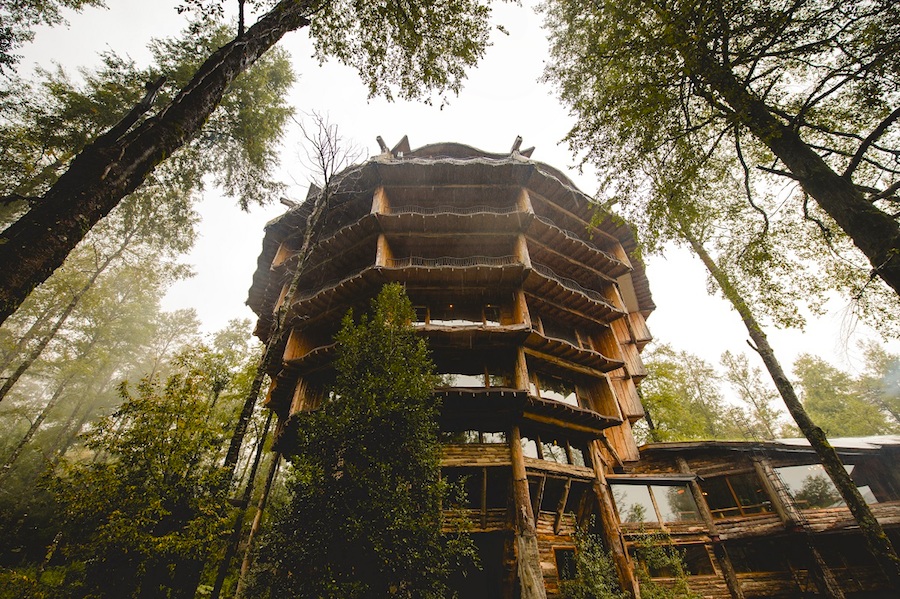 Treetop Hotels
