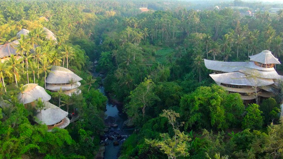 Treetop Hotels