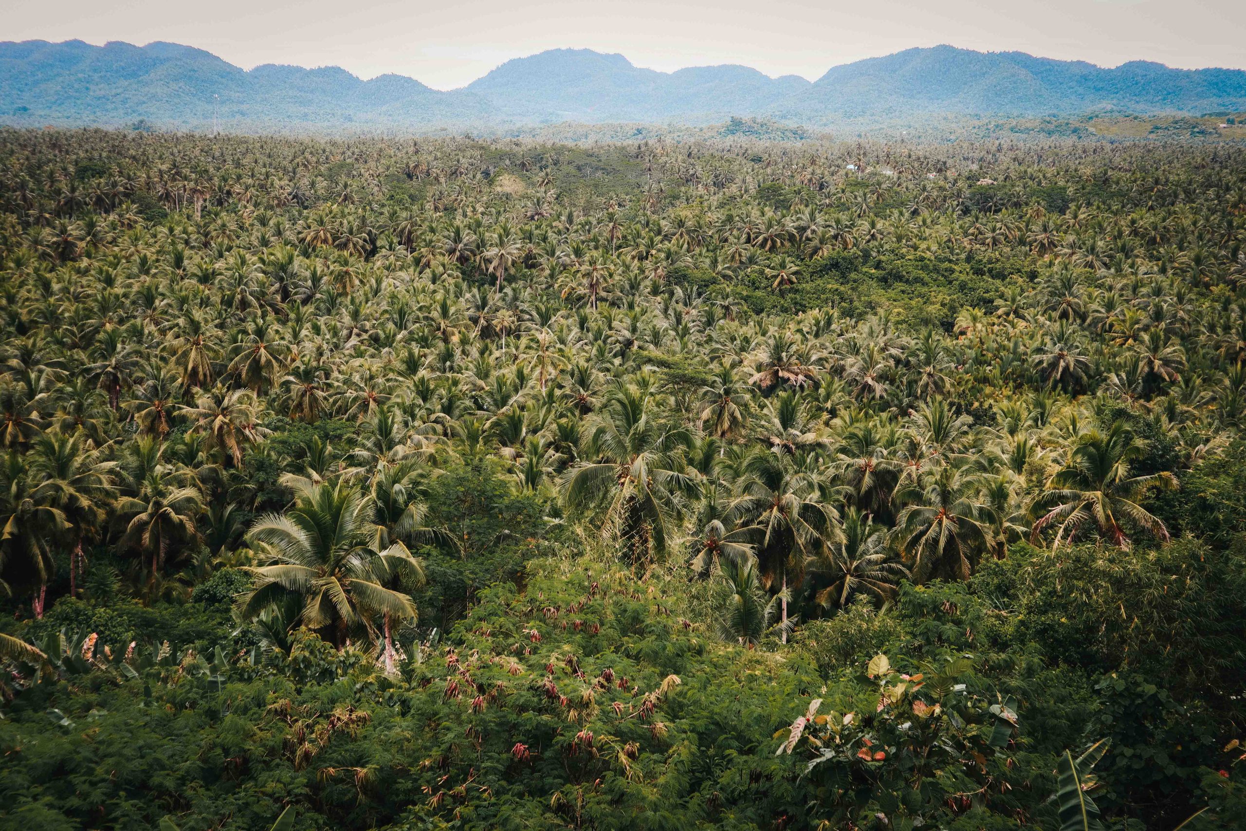 Wat te doen op Siargao