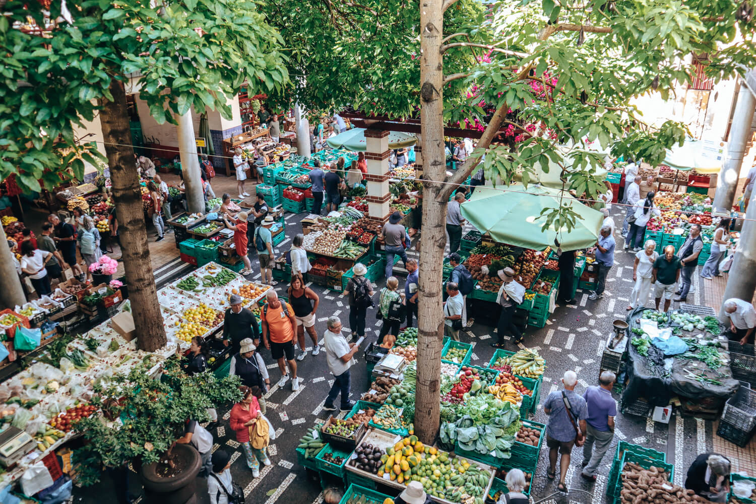 Madeira highlights en tips markets