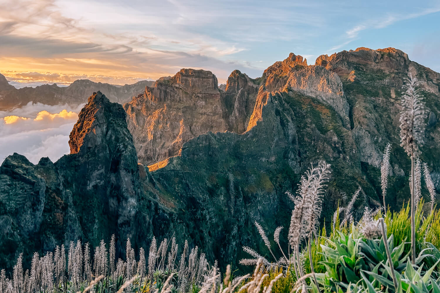 Madeira highlights en tips mooiste hikes